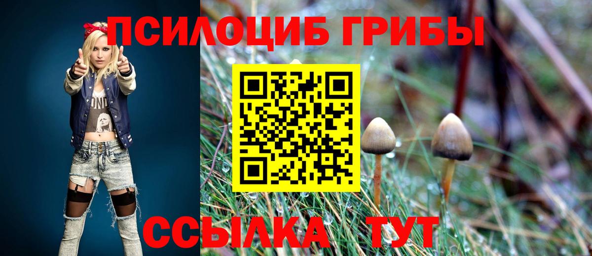Псилоцибиновые грибы Psilocybine cubensis  Вход с VPN  Сертолово  Псилоцибиновые грибы MAGIC MUSHROOMS 