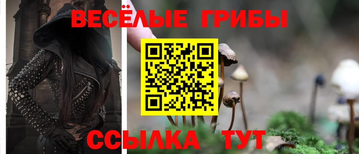 Псилоцибиновые грибы ЛСД Сертолово
